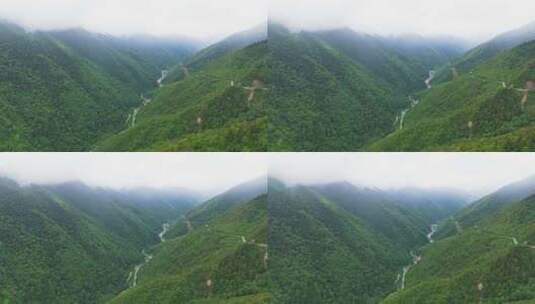 航拍四川巴朗山熊猫大道云雾缭绕的草原森林高清在线视频素材下载