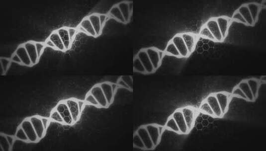 DNA黑白背景高清在线视频素材下载