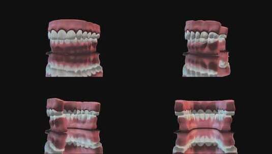 牙龈牙齿3d渲染动画高清在线视频素材下载