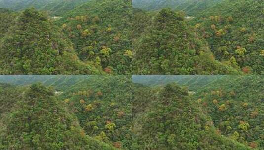 靖安隐仙谷山区7高清在线视频素材下载