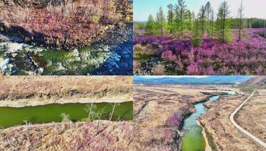 航拍内蒙古毕拉河峡谷火山地貌高清在线视频素材下载