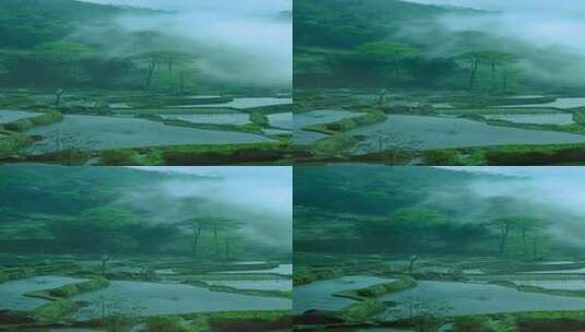 治愈风景 唯美 多彩高清在线视频素材下载