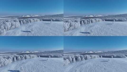 银装素裹的雪原白桦林风景高清在线视频素材下载