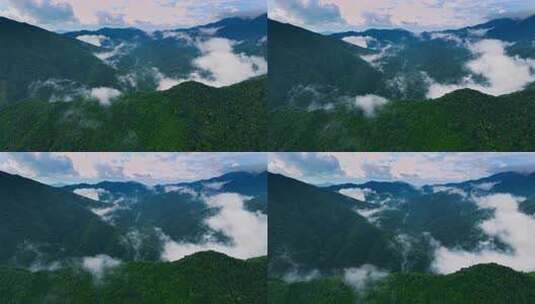航拍山川云雾森林自然风光大气片头风景视频高清在线视频素材下载