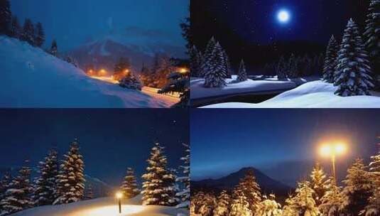 月夜下的雪景松林高清在线视频素材下载