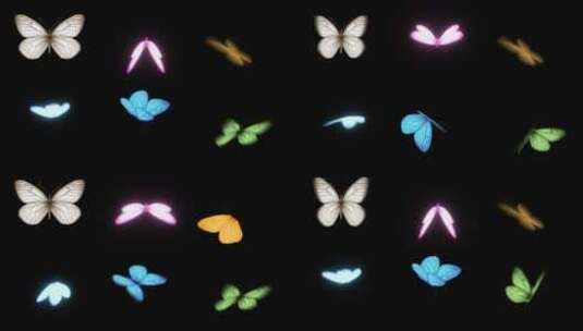 6种蝴蝶角度高清AE视频素材下载