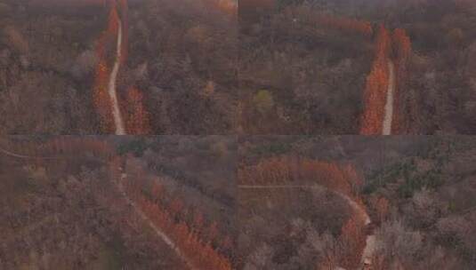 河北 石家庄 井陉县 道路 交通 秋天高清在线视频素材下载