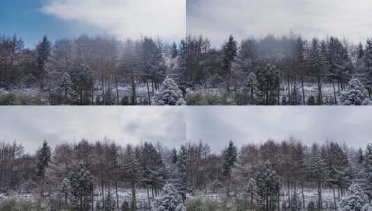 6k冬天山川树林冰雪延时摄影高清在线视频素材下载