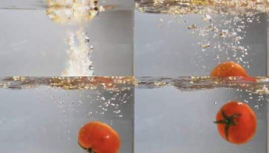 番茄强入水白背景高清在线视频素材下载