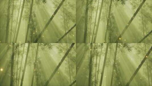 亚洲竹林与晨雾天气高清在线视频素材下载