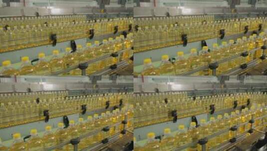 生产线上移动的葵花籽油高清在线视频素材下载