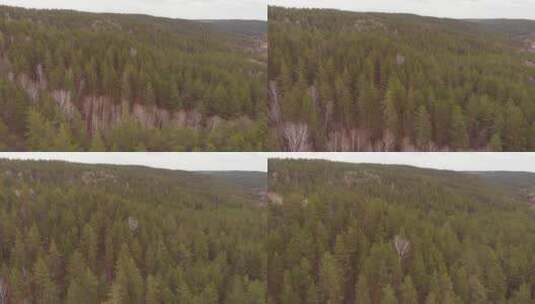 航拍春天的森林高清在线视频素材下载