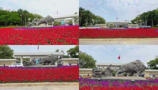 实深圳市最新合集拓荒牛雕塑高清在线视频素材下载