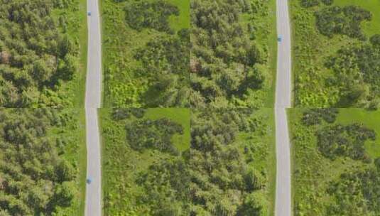 森林公路中行驶的汽车高清在线视频素材下载