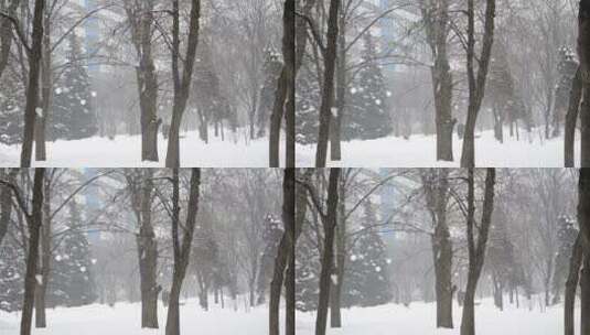 城市公园里下着厚厚的雪高清在线视频素材下载