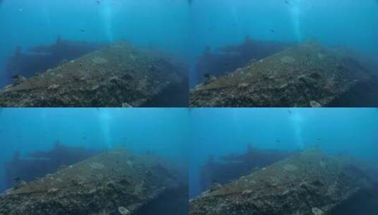 巴厘岛沉船自由潜高清在线视频素材下载