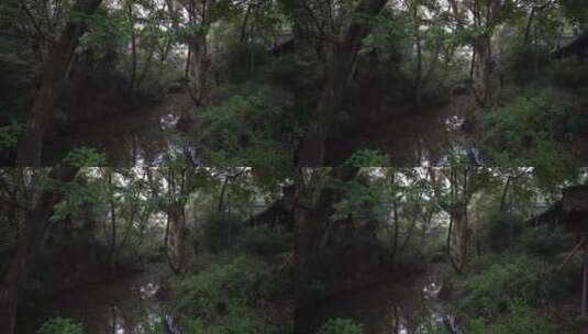 杭州西溪国家湿地公园梅竹山庄高清在线视频素材下载