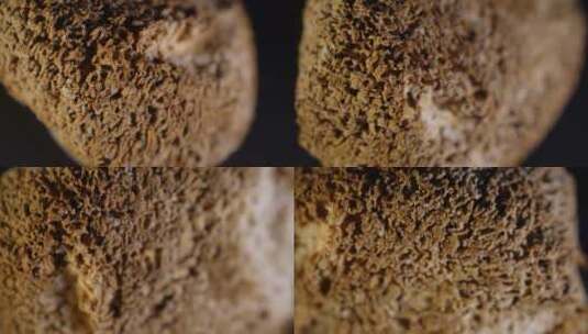 猴头菇干货蘑菇食用菌中药高清在线视频素材下载