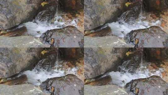 森林山泉溪水河流高清在线视频素材下载