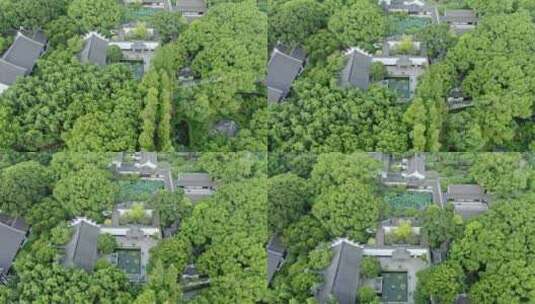 树林环绕绿色生态上海著名旅游风景区醉白池高清在线视频素材下载