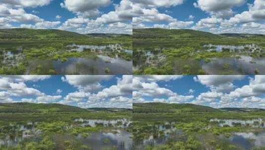 航拍湿地公园沼泽水草高清在线视频素材下载