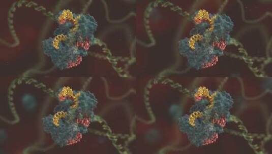 生物科学 基因编辑 DNA 基因工程 医学动画高清在线视频素材下载