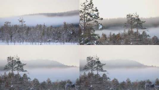冬季森林日出晨雾唯美影视级视觉高清在线视频素材下载