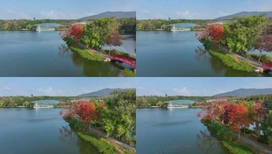 航拍南京中山陵前湖公园秋季景色高清在线视频素材下载