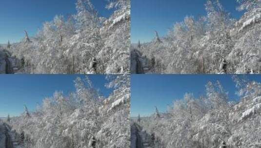 长白山之第一场雪高清在线视频素材下载