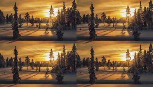 唯美日出日落 阳光照射在积雪覆盖的森林高清在线视频素材下载