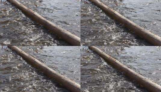 木头横在小溪水面上河水流动高清在线视频素材下载