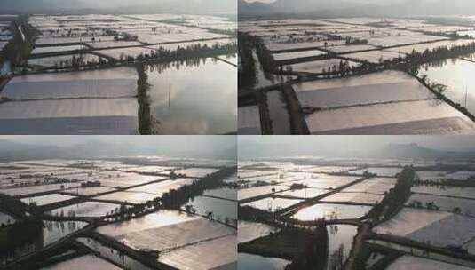 4k珠海斗门冬季大棚养殖鱼塘航拍高清在线视频素材下载