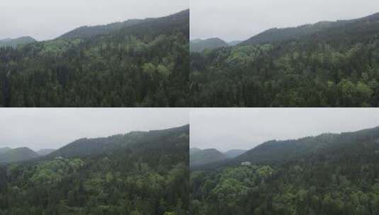 重庆涪陵武陵山国家森林公园高清在线视频素材下载