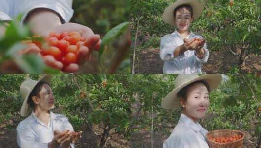 采摘和品尝成熟樱桃的农家姑娘高清在线视频素材下载