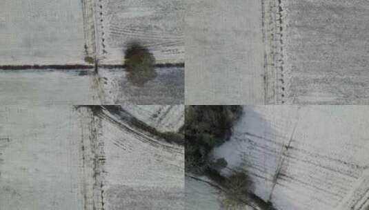 无人机俯视着飞过冰冻的田野。高清在线视频素材下载