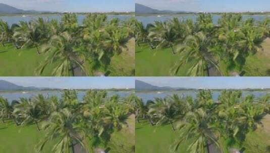 穿越机 高尔夫 草坪 椰子树高清在线视频素材下载