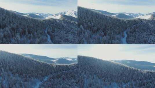 新疆冬季雪景原始森林航拍 新疆喀纳斯雪景高清在线视频素材下载