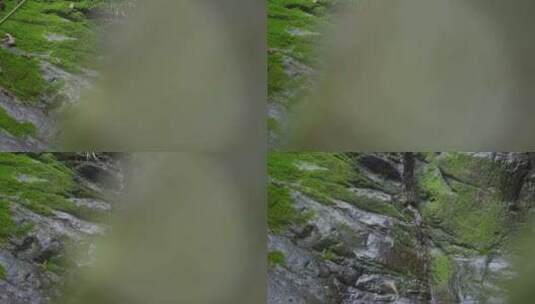 大自然 山野 雨后 瀑布高清在线视频素材下载