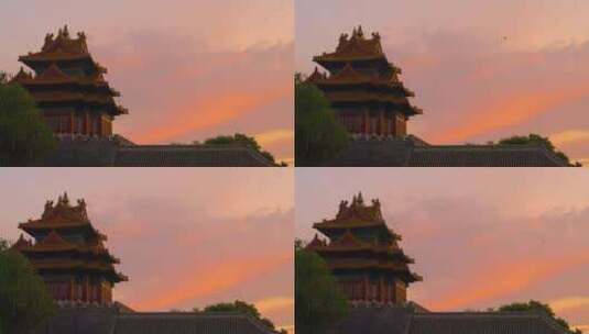北京故宫角楼夏日夕阳雨燕慢镜头高清在线视频素材下载