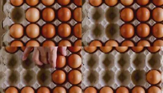 土鸡蛋、蛋鸡场高清在线视频素材下载