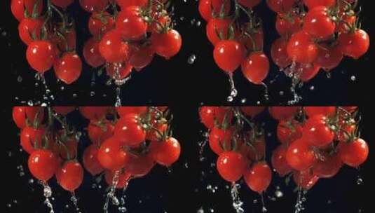从成熟的番茄中滴下的水滴高清在线视频素材下载