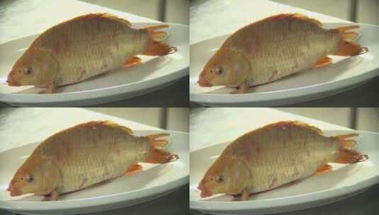 厨房的一条活着的鱼高清在线视频素材下载