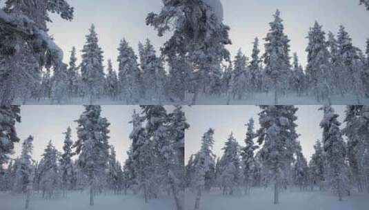 无人机缓慢探索芬兰拉普兰北极圈下雪的冬季高清在线视频素材下载