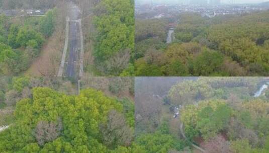 杭州植物园春天风景视频素材高清在线视频素材下载