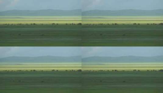 美丽的绿色大草原高清在线视频素材下载