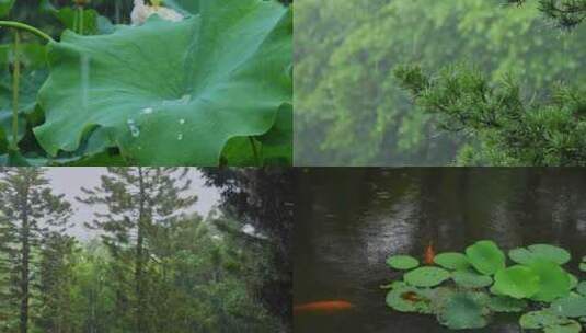 雨天雨景下雨自然唯美空镜合集高清在线视频素材下载