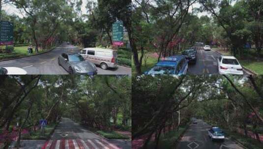 华侨城香山中街道路交通车流高清在线视频素材下载