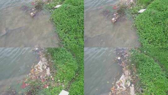 河流水域污染高清在线视频素材下载