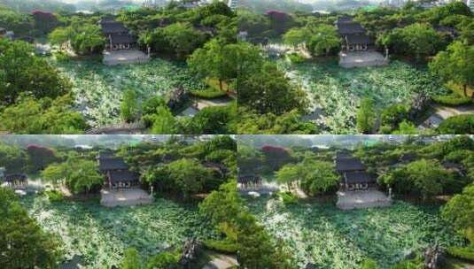 惠州西湖丰渚园荷花大景 15高清在线视频素材下载