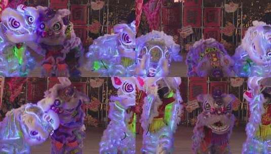 炫彩醒狮上海夜光狮表演高清在线视频素材下载
